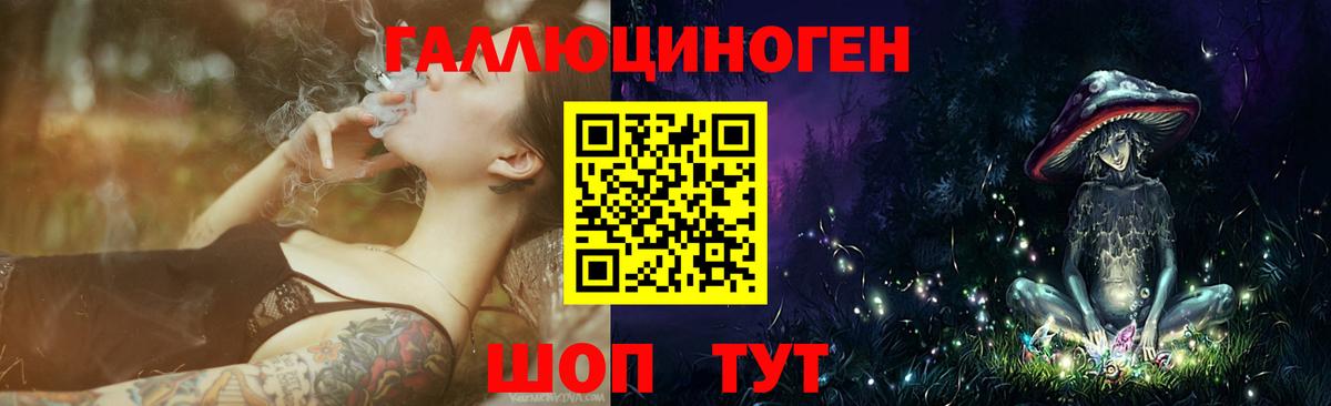 Кстово  Галлюциногенные грибы Cubensis  Вход с VPN 
